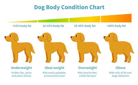 How much fat is in smart dog - calories, carbs, nutrition