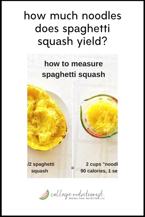 How much fat is in spaghetti squash (9032.0) - calories, carbs, nutrition