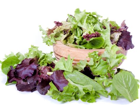 How much fat is in spring salad - calories, carbs, nutrition
