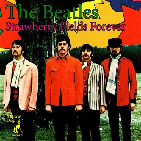 How much fat is in strawberry fields forever - calories, carbs, nutrition