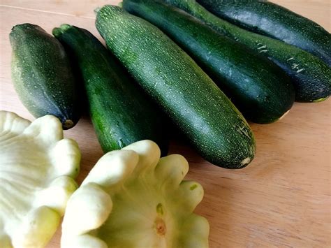 How much fat is in sw zucchini & black bean casserole - calories, carbs, nutrition