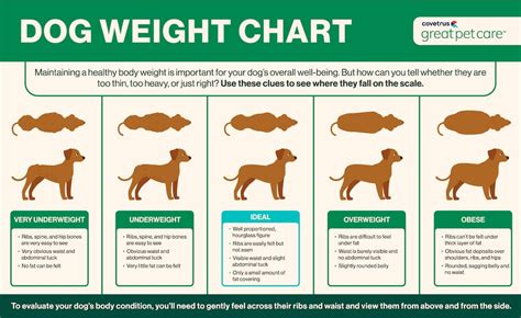 How much fat is in the blat dog - calories, carbs, nutrition