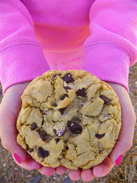 How much fat is in the complete cookie – chocolate chip - calories, carbs, nutrition