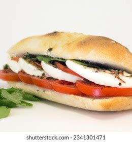 How much fat is in tomato mozzarella arugula and balsamic vinaigrette on panini bread (111988.0) - calories, carbs, nutrition