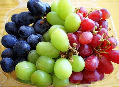 How much fat is in tri color grapes (29187.4) - calories, carbs, nutrition