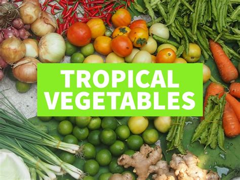 How much fat is in tropical greens - calories, carbs, nutrition