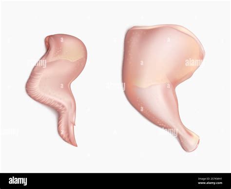 How much fat is in turkey, retail parts, drumstick, meat only, raw - calories, carbs, nutrition