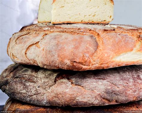 How much fat is in tuscan bread - calories, carbs, nutrition