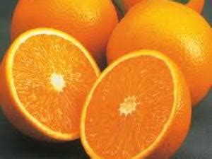 How much fat is in valencia orange - calories, carbs, nutrition