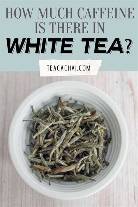 How much fat is in white tea - calories, carbs, nutrition