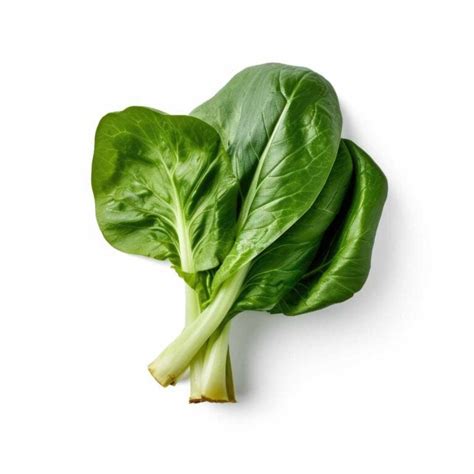 How much fat is in whole+sum cabbage - calories, carbs, nutrition