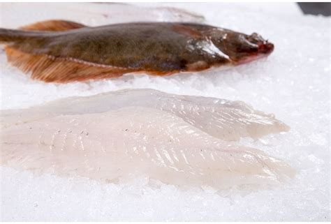 How much fat is in wild caught flounder - calories, carbs, nutrition