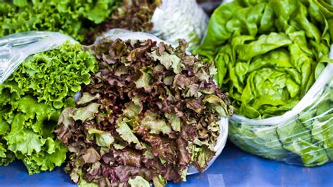 How much fat is in wilted greens - calories, carbs, nutrition