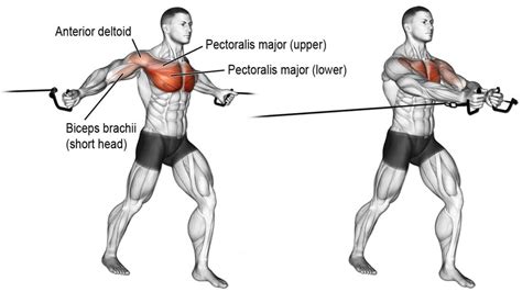 How to Do the Cable Crossover for Chest Size and Symmetry