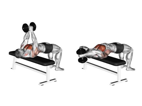 How to Do the Dumbbell Pullover for Lats and Chest Size