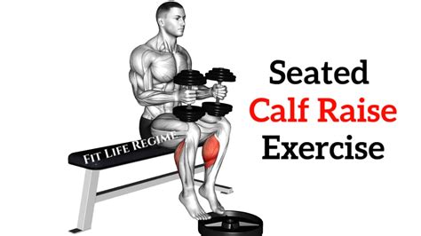 How to Do the Seated Calf Raise for Muscular Calves