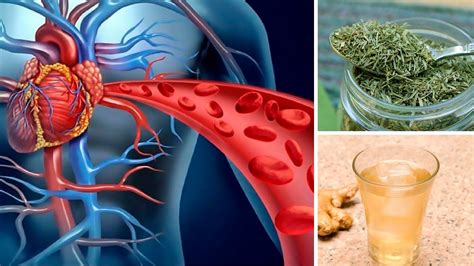 How to Improve Blood Circulation Naturally & Quickly