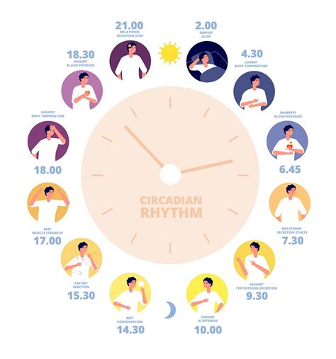 How to Improve your Circadian Rhythm