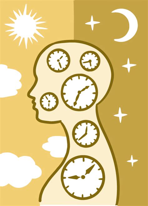 Syncing Your Brain and Body Clocks