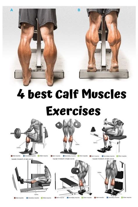 The 10 Best Calf Exercises for Mass