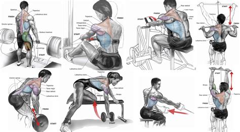 The 13 Best Upper Back Exercises for Mass and Strength