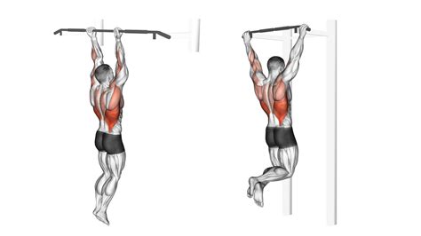 The 7 Best Vertical Pull Exercises for Back & Biceps Mass