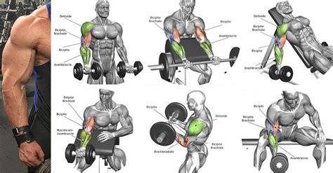 The Best Arm Workouts for Building Mass