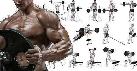 The Best Barbell Exercises for a Full Body Workout