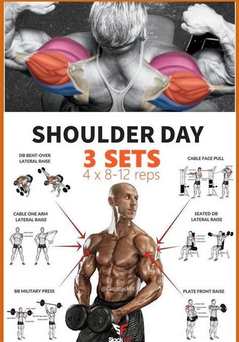 The Best Full Shoulder Workouts for Building Size and Mass