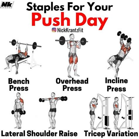 The Best Push Day Exercises for Upper Body Mass