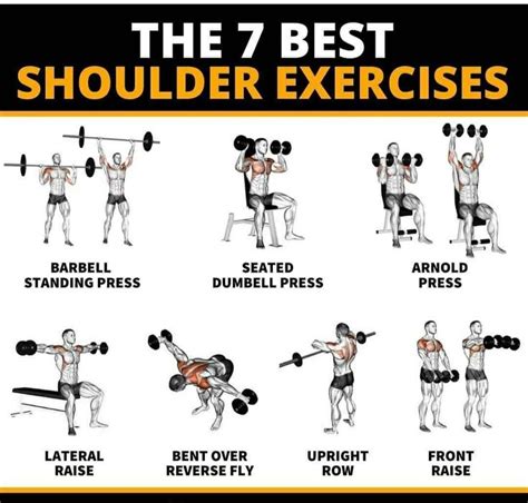 The Best Shoulder Workouts for Men, According to Science