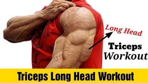 The Best Triceps Long Head Exercises for Mass
