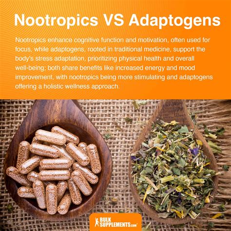 The Difference Between Adaptogens and Nootropics