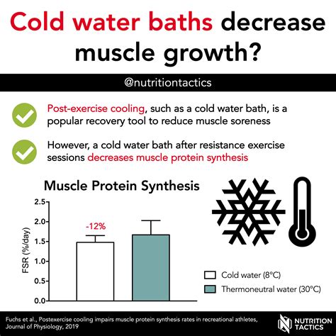 The Effects of Cold-Water Immersion on Muscle Growth