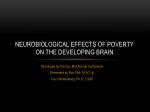 The Neurobiological Effects of Urbanizatio