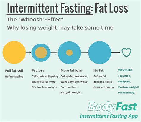 The Safety of Fasting to Lose Weight