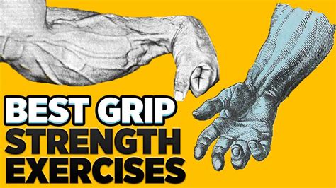 The Ultimate Guide to the Best Grip Strengtheners 