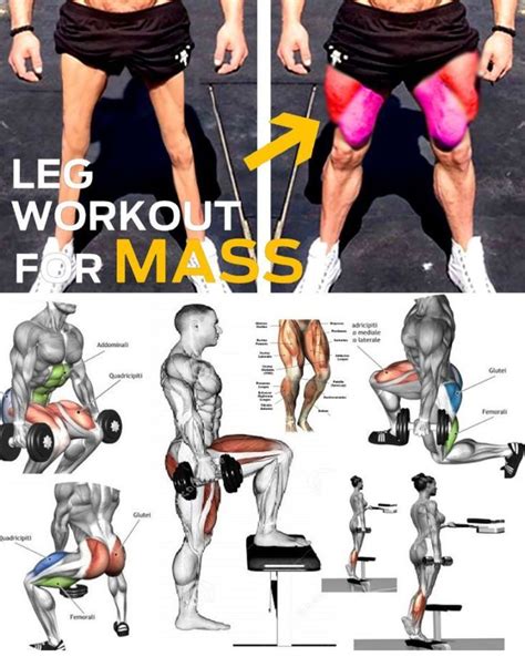 The Ultimate Killer Leg Workout for Muscle Growth