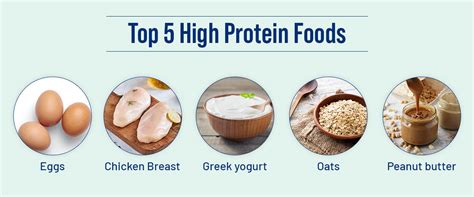 Top 10 High Protein Foods for a Healthy Diet