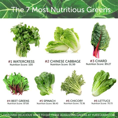 Top 9 Healthiest Leafy Green Vegetables to Include in Your Diet