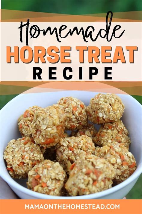 Delicious and Nutritious Healthy Horse Treat Recipe