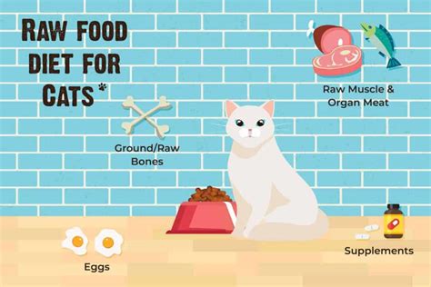 What Are the Benefits of Raw Cat Food - calories, carbs, nutrition