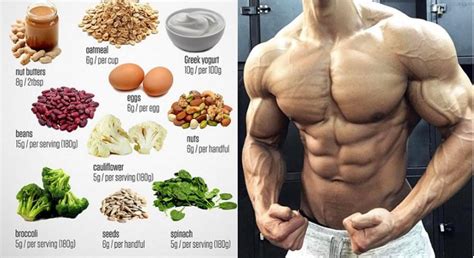 What Is the Optimal Diet for Bodybuilding?