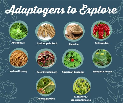 What are Adaptogens and How Do They Work