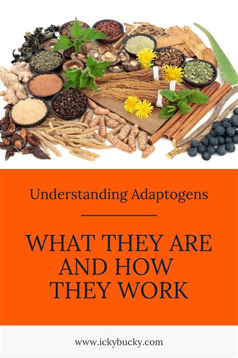 What are Adaptogens and How Do They Work