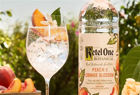 What are some delicious Ketel One Botanical Peach Orange Blossom recipes?