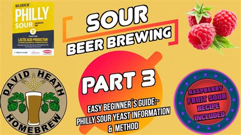What are some tips for brewing sour beers with Philly Sour?