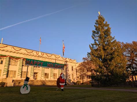 What happens during the Tree Lighting Ceremony in Loma Linda?