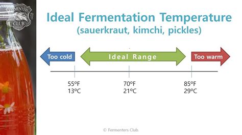What is the best temperature for fermenting with Philly Sour?