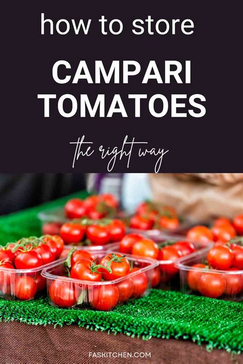 What is the best way to store Campari tomatoes?